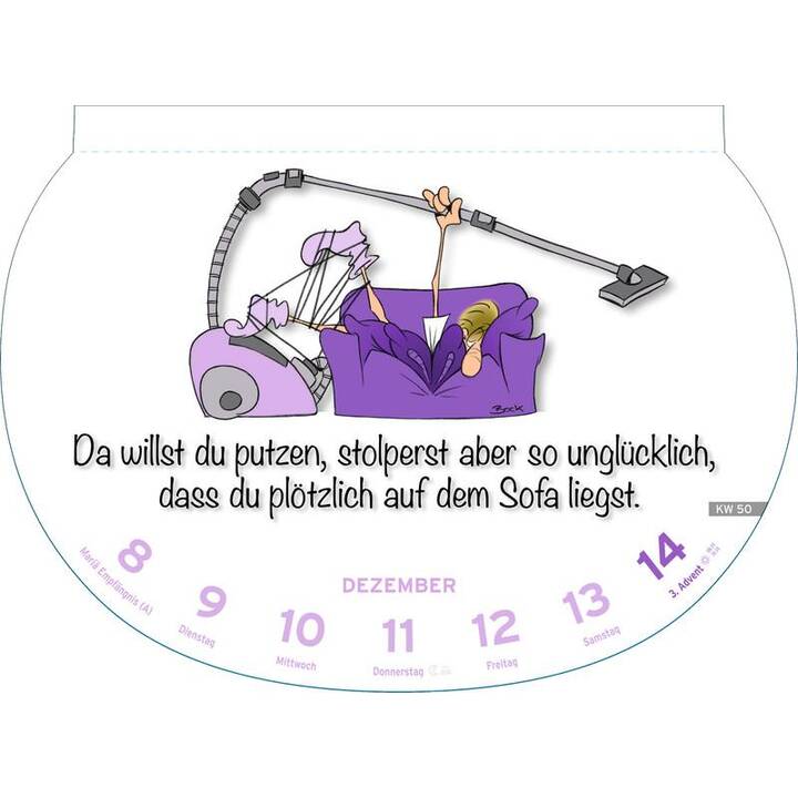 HEYE KALENDER Calendrier illustré Dumme Sprüche (2025) Interdiscount