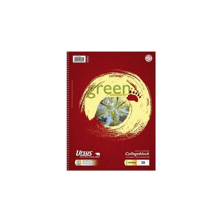 URSUS Bloc-notes Green (A4, Carreaux)