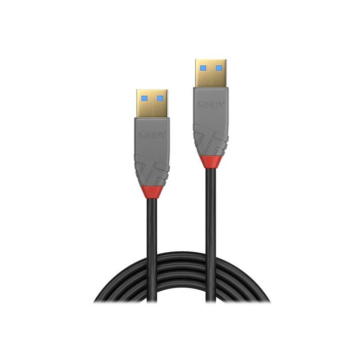 LINDY Câble USB (USB A, USB de type A, 3 m)