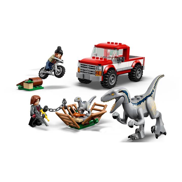 LEGO Jurassic World La capture des Vélociraptors Beta et Blue (76946)