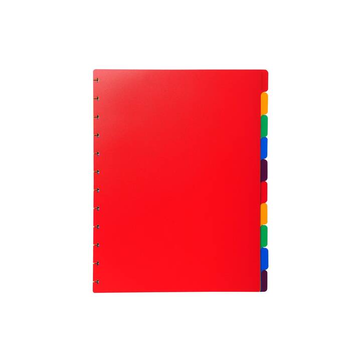 EXACOMPTA Archivio a soffietto (Rosso, Multicolore, A4, 1 pezzo)