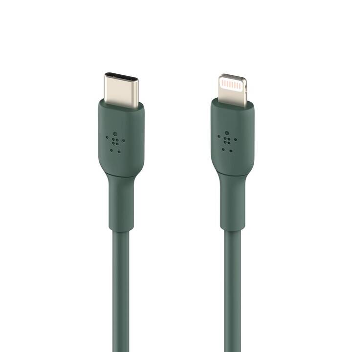 BELKIN Boost Charge Câble (Lightning, USB de type C, 2 m)