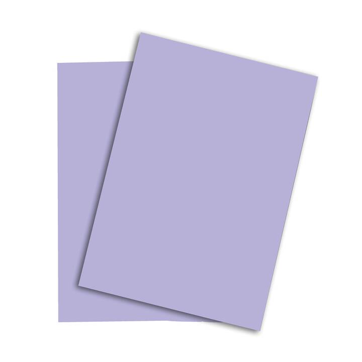 PAPYRUS Rainbow Farbiges Papier (250 Blatt, A4, 120 g/m2)