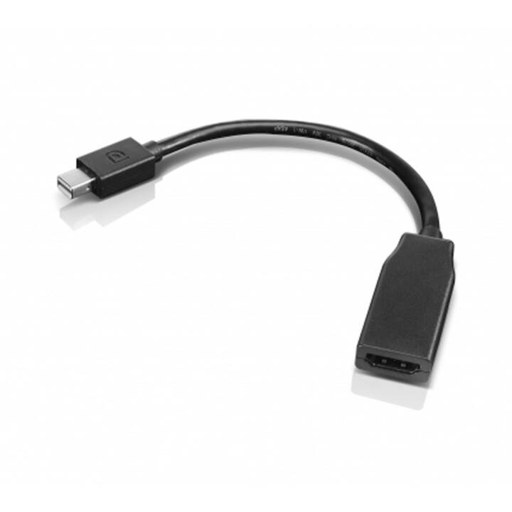 LENOVO Mini DisplayPort/HDMI Adapter, 20 cm