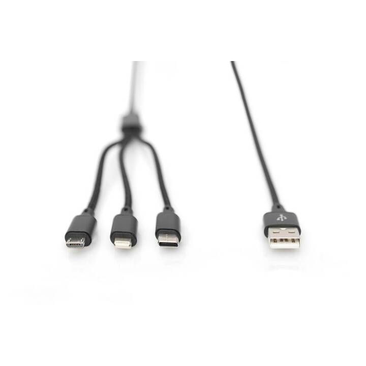 ASSMANN ELECTRONIC Câble de connexion AK-300160-010-S (Noir, 1 m, USB A, MicroUSB, USB de type C, Lightning)