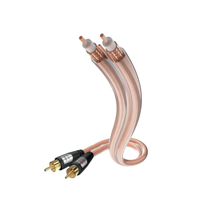 IN-AKUSTIK Câble de raccordement (Cinch, 500 cm)