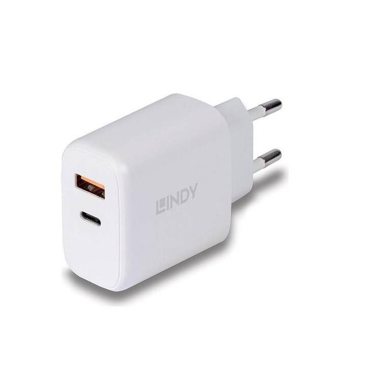 LINDY Ladestation (USB C, USB A)