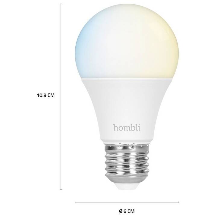 HOMBLI LED Birne Smart Bulb (E27, WLAN, 9 W)
