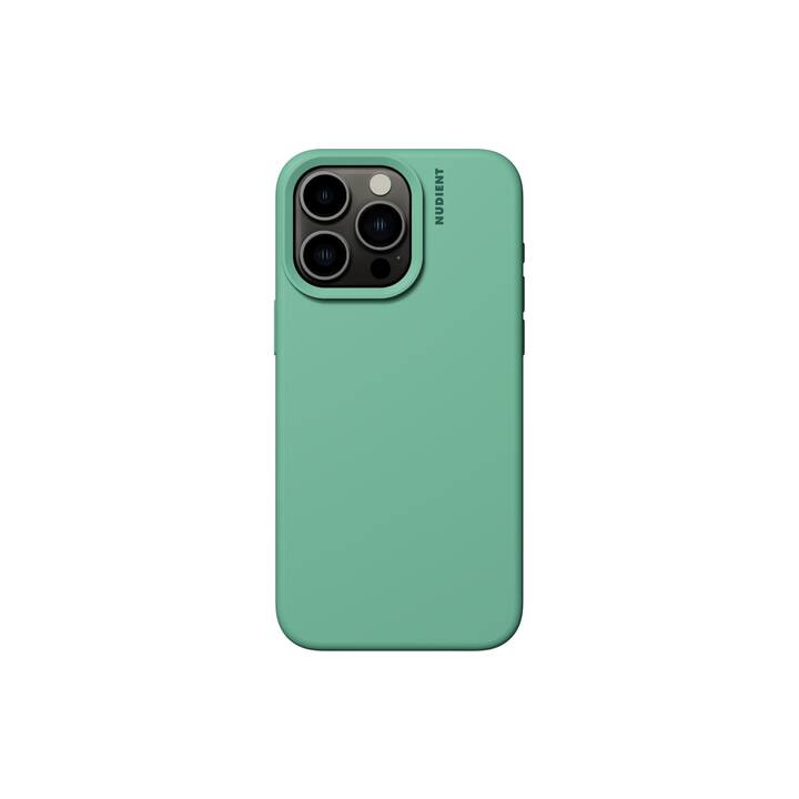 NUDIENT Backcover Base Case (iPhone 15 Pro Max, Grün)