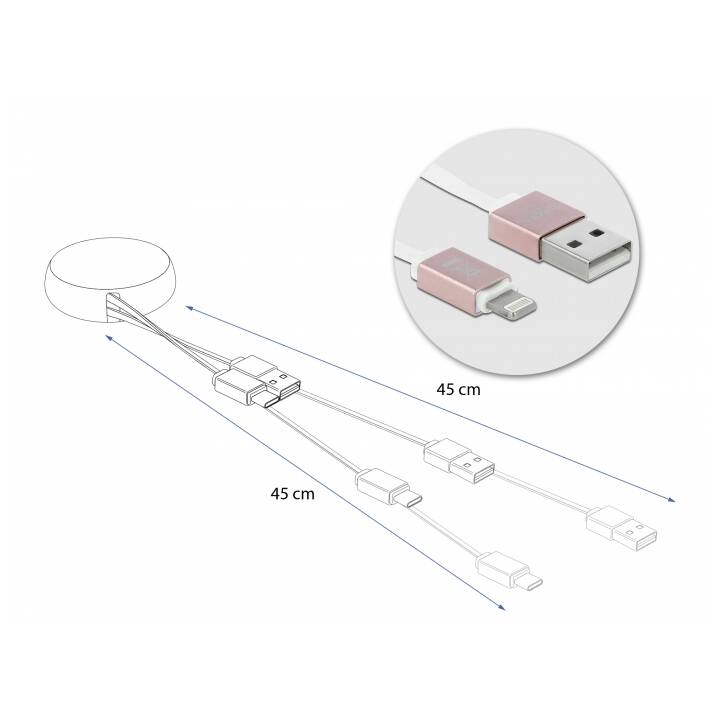 DELOCK Verbindungskabel (USB 2.0 Typ-A, Lightning, 92 m)