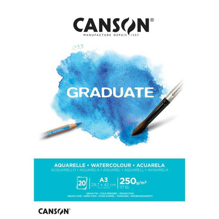 CANSON Papier pour peinture (A3)
