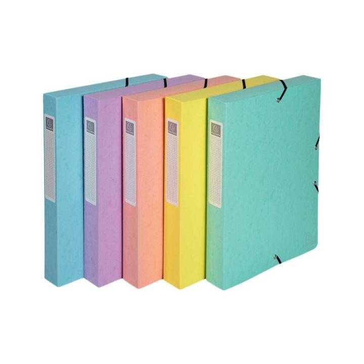 EXACOMPTA Dossier d'organisation (Mauve, Bleu pastel, Vert pastel, A4, 5 pièce)