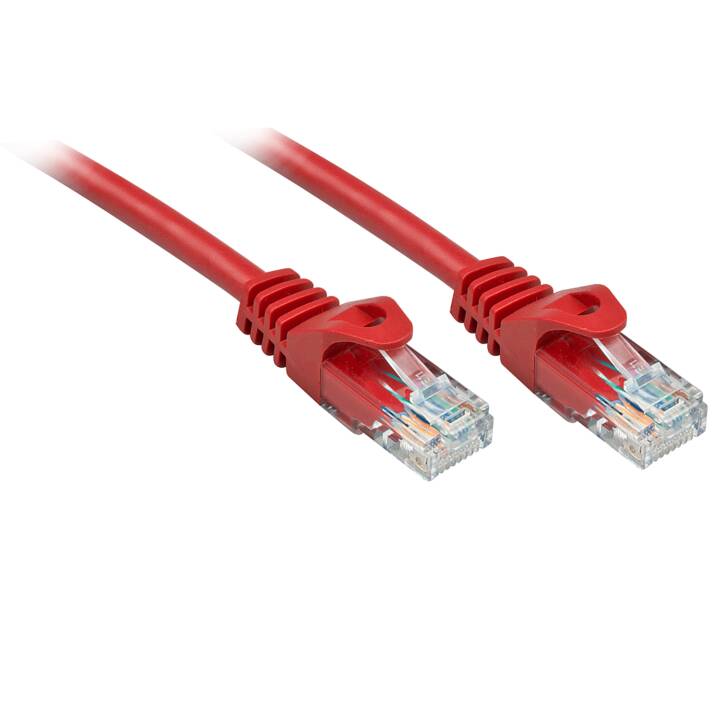 LINDY Câble patch Basic 50 cm, rouge