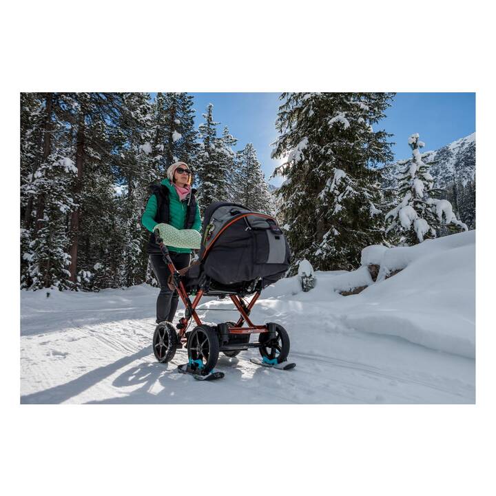 WHEELBLADES XL Passeggino Ski