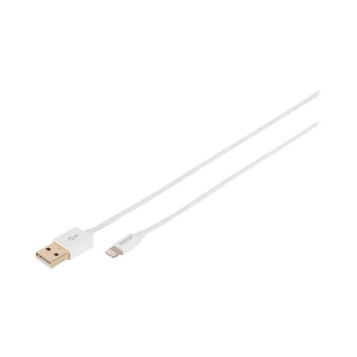 DIGITUS Câble (Fiche Lightning, Fiche USB 2.0 de type A, 1 m)