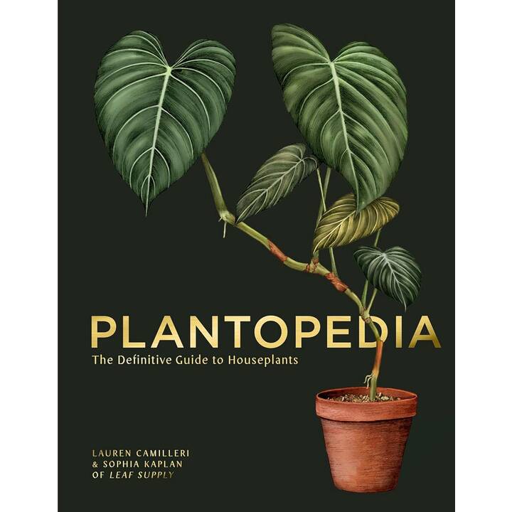 Plantopedia - Interdiscount