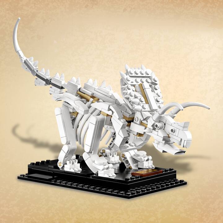 LEGO Ideas Fossili di dinosauro (21320, Difficile da trovare)