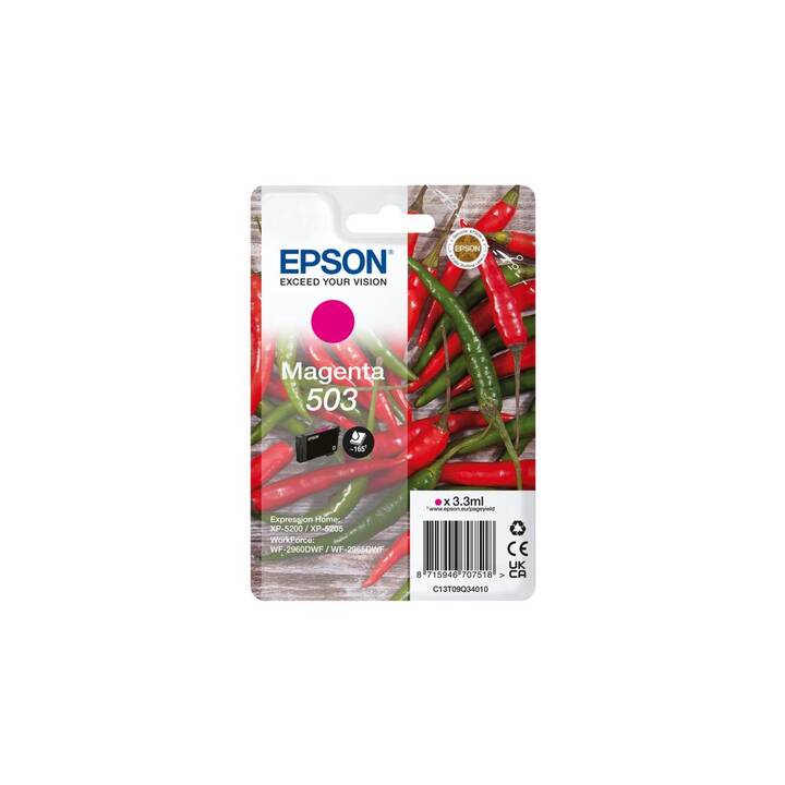 EPSON 503 (Magenta, 1 pièce)
