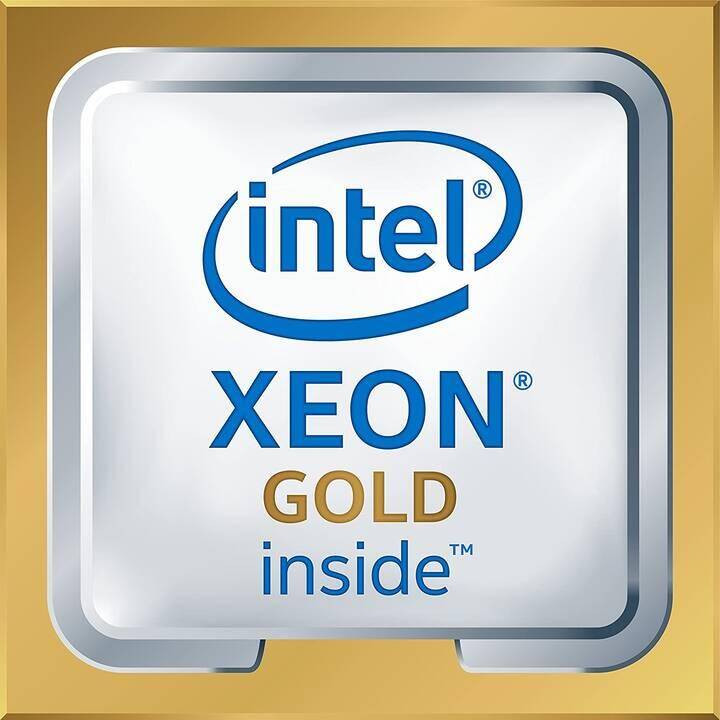 HEWLETT PACKARD ENTERPRISE DL380 (Intel Xeon Gold, 32 GB, 2.1 GHz, 3.4 GHz)