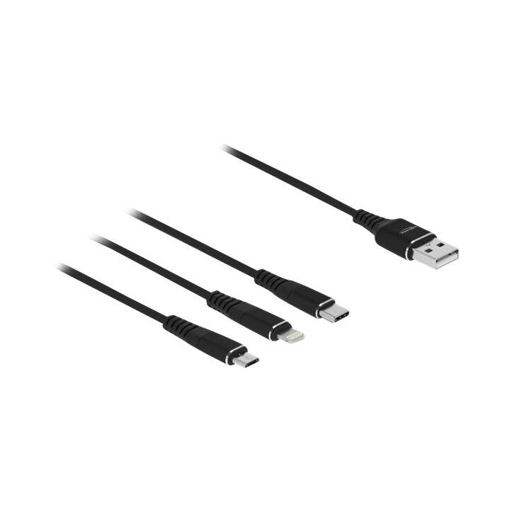 DELOCK Kabel (USB 2.0 Typ-A, USB 2.0, 30 cm)