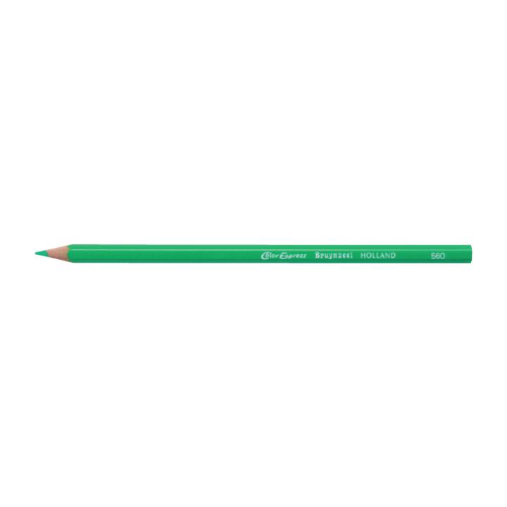 BRUYNZEEL Crayons de couleur (Vert, 1 pièce)