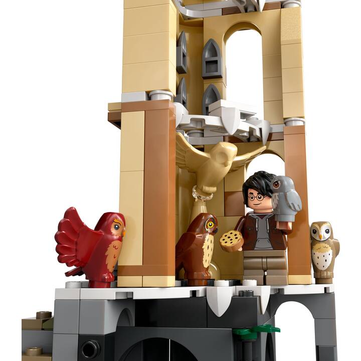 LEGO Harry Potter La volière du château de Poudlard (76430)