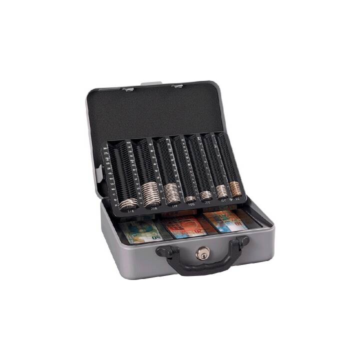 RIEFFEL Cassette portavalori Moneta DeLuxe (Grigio argento, Argento, Grigio)