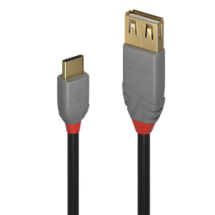 LINDY Câble USB noir - 0,15 m