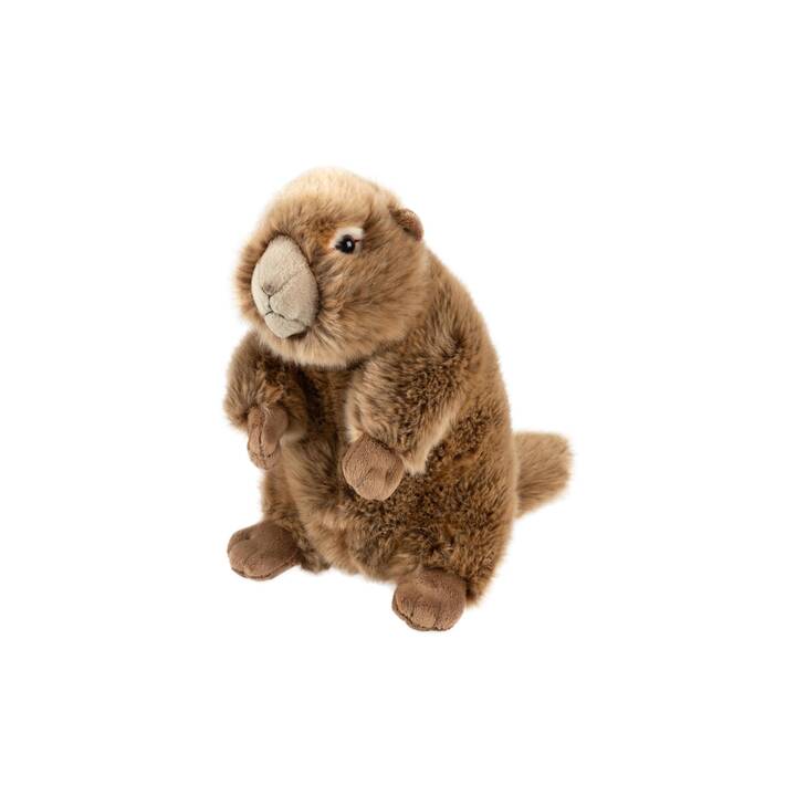 LEO BRUMMBÄR Marmotte (25 cm, Brun)