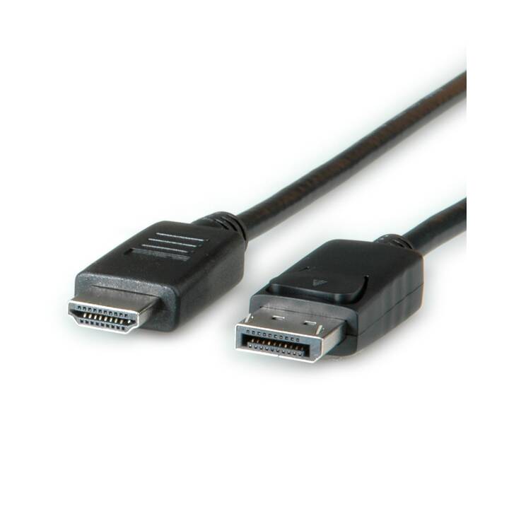 ROLINE Câble de connexion (Port écran, HDMI, 1 m)