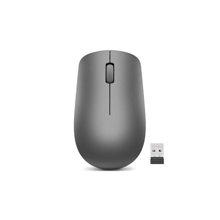 LENOVO 530 Mouse (Senza fili, Office)