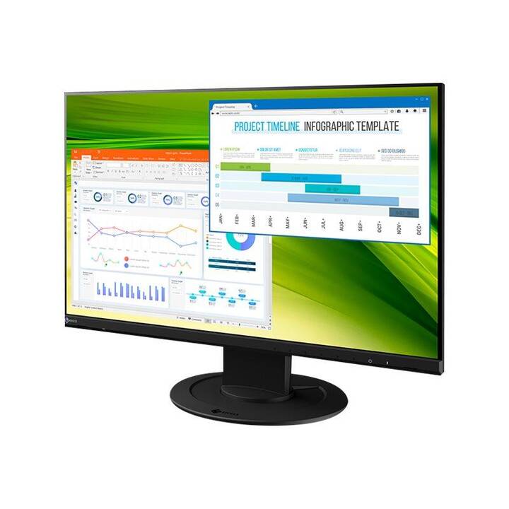 EIZO FlexScan EV2360 (22.5", 1920 x 1200)