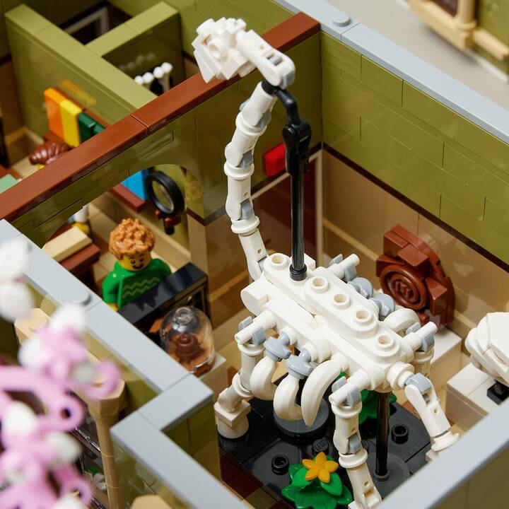 LEGO Icons Naturhistorisches Museum (10326, seltenes Set)