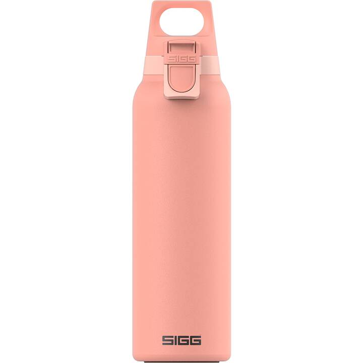 SIGG Thermo Trinkflasche Hot & Cold ONE Light Shy Pink (0.55 l, Rosé)