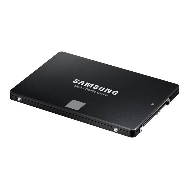 SAMSUNG SSD 870 EVO (SATA-III, 1000 GB)