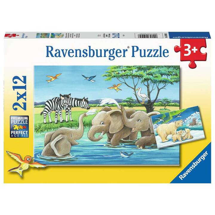 RAVENSBURGER Tierkinder aus aller Welt Puzzle (2 x 12 x, 24 x)