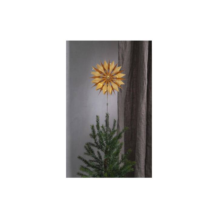 STAR TRADING Puntale per albero di Natale Flinga (Transparente, Oro)