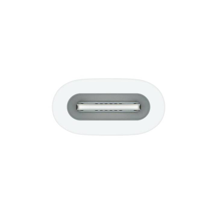 APPLE Pencil Adapter USB-Kabel (USB-C, ohne Stecker, USB Typ-C, Lightning)