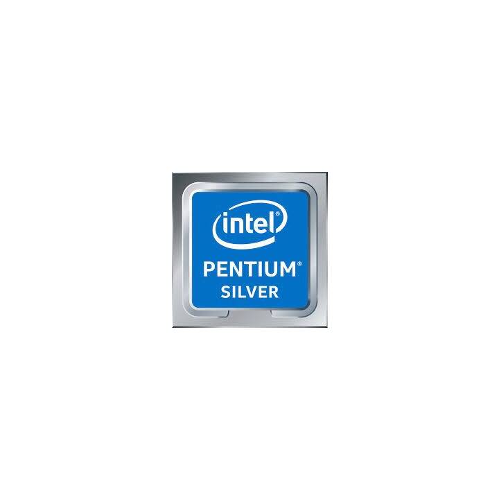 HP 250 G8 4P3Z2ES (15.6", Intel Pentium, 8 GB RAM, 256 GB SSD)