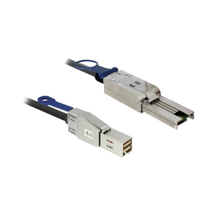 DELOCK Câble de connexion (Prise SAS 2.0, 3 m)