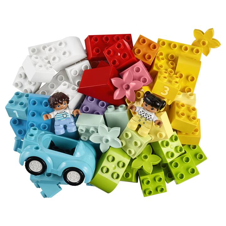 LEGO DUPLO Contenitore di mattoncini (10913)