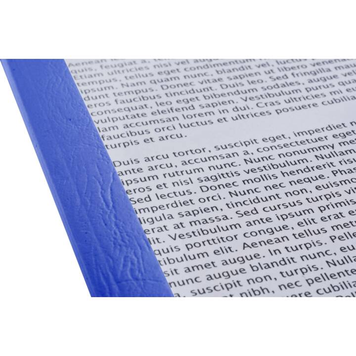 FELLOWES Cartellina trasparente (Blu, A4, 100 pezzo)