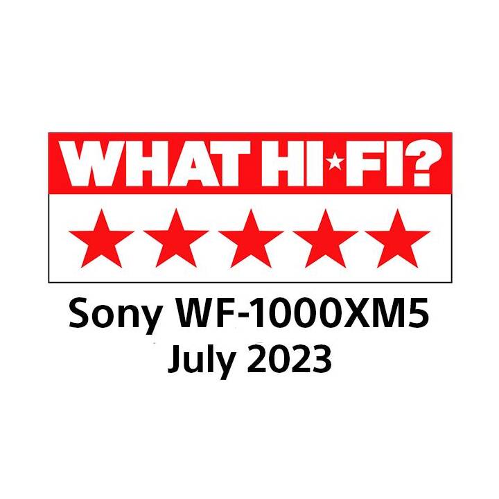 SONY WF-1000XM5 (Argento)