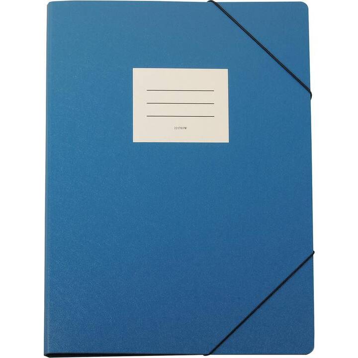 NATURALINE Dossier d'index (Bleu, A3, 1 pièce)