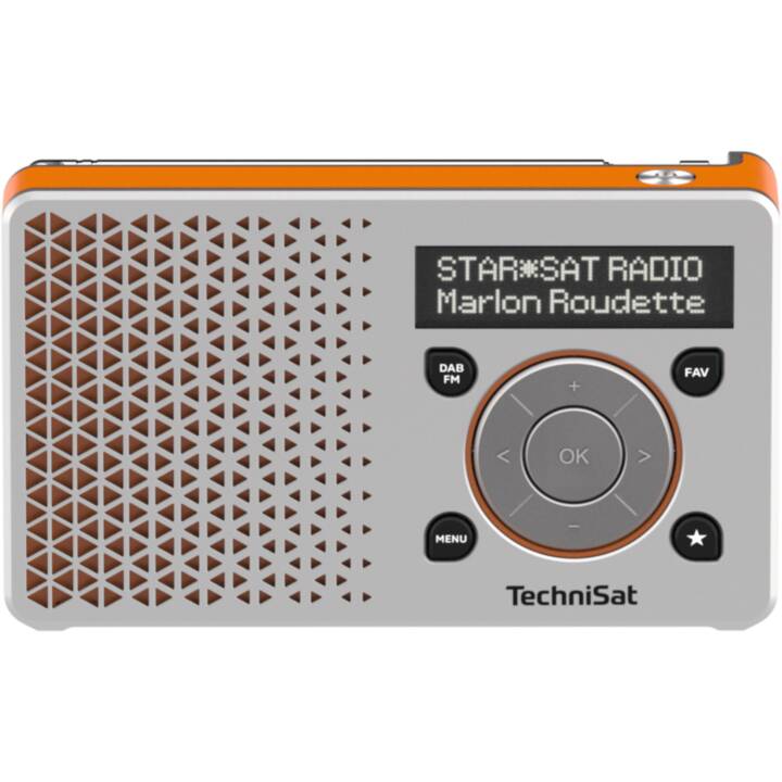 TECHNISAT DigitRadio 1 Radio pour cuisine / -salle de bain (Argent, Orange)