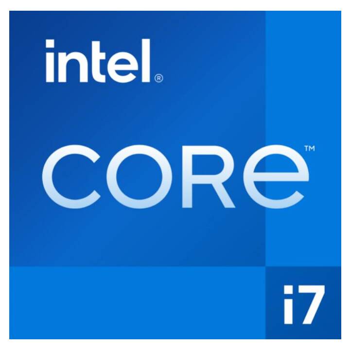 JOULE PERFORMANCE L1119180 (Intel Core i7 11700KF, 32 GB, 1000 Go SSD, 1000 Go HDD, Nvidia GeForce RTX 3070)