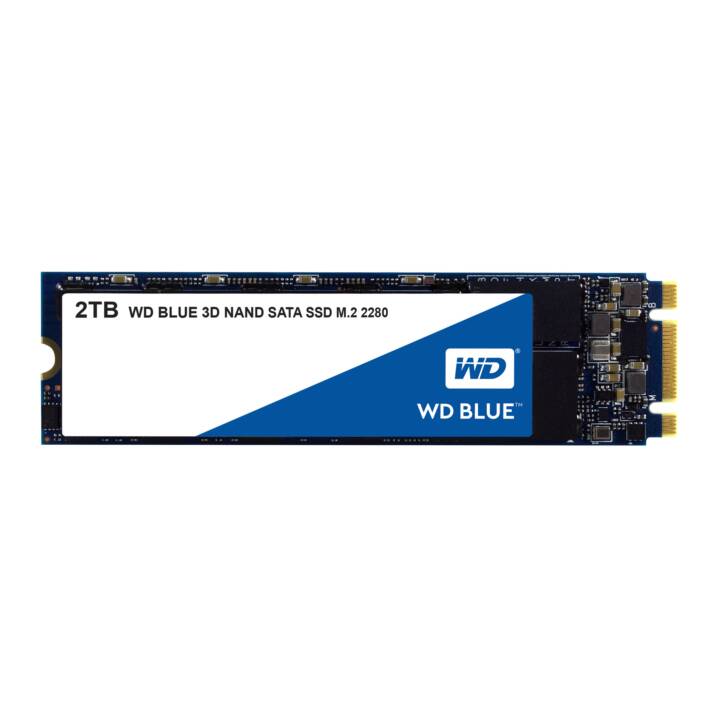 WESTERN DIGITAL SSD WD Blue (SATA-III, 2000 GB)