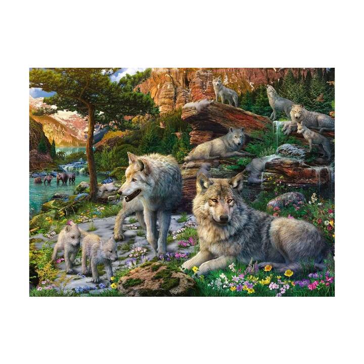 RAVENSBURGER Wild Life Wolves in Spring Puzzle (1500 x)