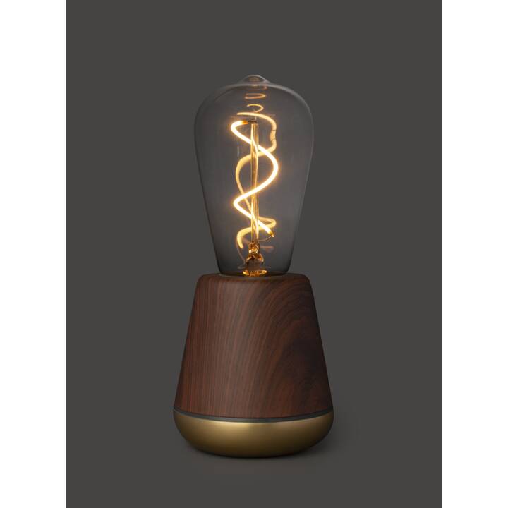 HUMBLE Lampe de table One (LED, Brun noyer)