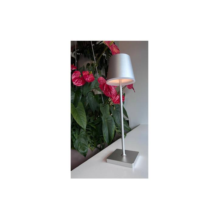 XOXO DESIGN Lampe de table (Anthracite)